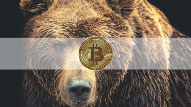Bitcoinstürztauf.US Dollarab,ElonMuskTalkingDogecoinundChinaFUD:TheWeeklyRecap