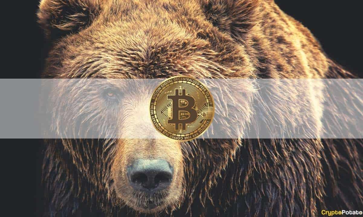 Bitcoinstürztauf.US Dollarab,ElonMuskTalkingDogecoinundChinaFUD:TheWeeklyRecap