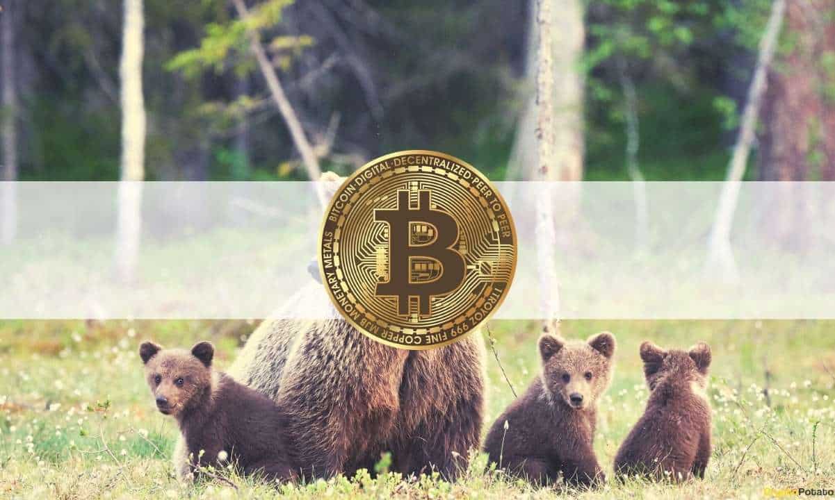 Bitcoin TransfersanSpot BörsenaufhöchstemNiveauseitMärzCrash