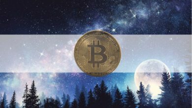 BitcoinistnachdemAbsturz„diskontiert“undkönnteauf.US Dollarsteigen:Bloomberg