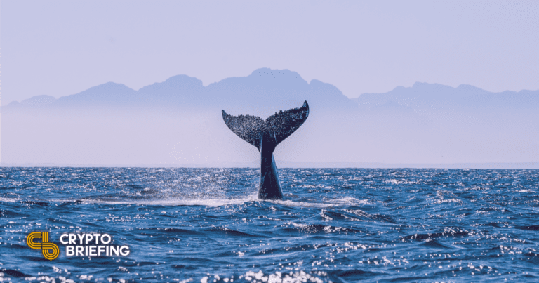 Polywhale Teamgibt Millionen Dollar ProjektinmittenvonBetrugsvorwürfenauf