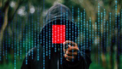 Satoshi Nakamoto soll den Wirtschaftsnobelpreis bekommen: Hoskinson