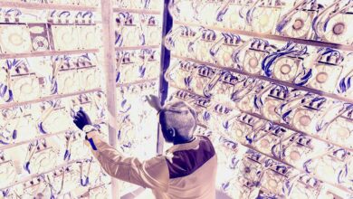 Malaysische Behörden zerstören Bitcoin im Wert von Millionen Dollar Mining Ausrüstung