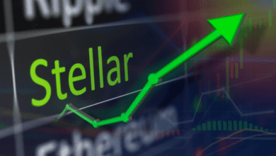 NeuerStellar Kundeträgtdazubei,dassXLM/USDnichtunter,USDfällt