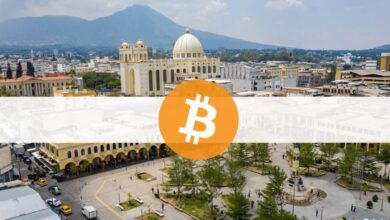 %derElSalvadorianersindmitdemneuenBitcoin Gesetznichtzufrieden