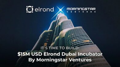 Morningstar Ventures investiert 15 Millionen US-Dollar in Projekte, die auf dem Elrond-Netzwerk aufbauen
