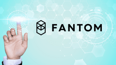 Sind die Käufer von Fantom (FTM/USD) erschöpft?  Sehen Sie sich diese Schlüsselstufen an