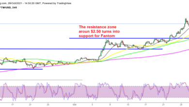 Litecoin, Fantom Crypto Analysis – FTM erreicht neue Höchststände, LTC springt höher