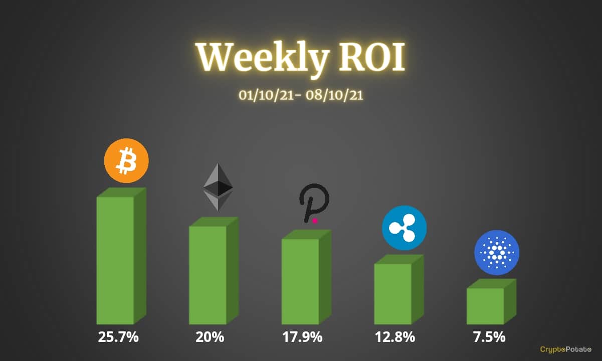 Bitcoin, Ethereum, Ripple, Cardano und Polkadot