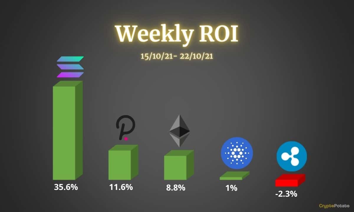 Ethereum, Cardano, Ripple, Polkadot & Solana