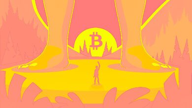 Hedgefonds-Manager mit 1.000.000.000 USD an Bitcoin-Beständen sagt, dass sich BTC als gigantische Anlageklasse manifestiert – hier ist der Grund