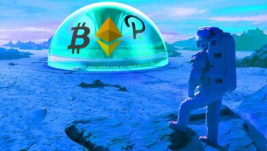 Hier ist, was den Preis von Bitcoin antreibt, Ethereum, Polkadot und andere Krypto-Assets, laut Kraken Executive