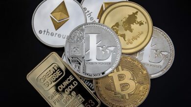 Polkadot, Litecoin-Preisvorhersage – DOT führt zu ATH, gute Kaufgelegenheit in LTC