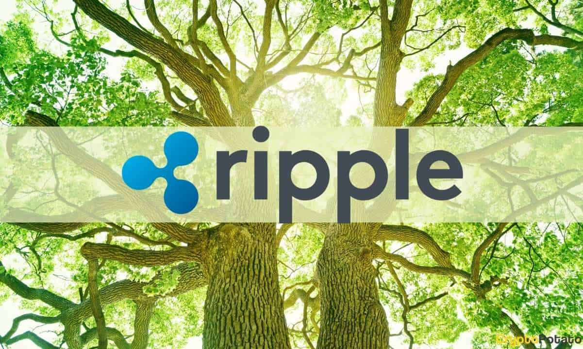 Ripple und Nelnet investieren 44 Mio. USD in CO2-Neutralität