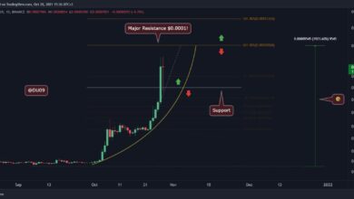 SHIB zieht sich nach ATH zurück, aber was ist das nächste Ziel?