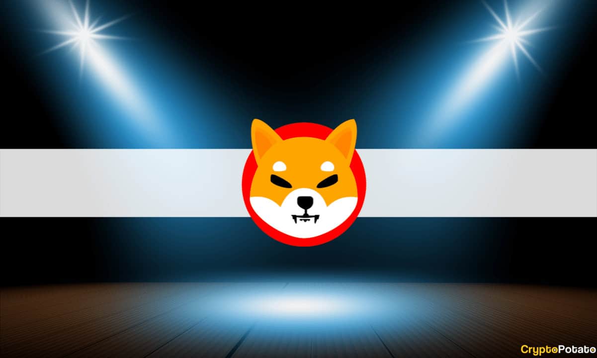 Shiba Inu (SHIB) ist der einzige One Up 80%