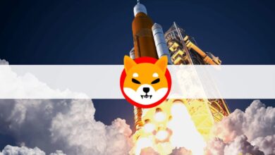 Shiba Inu (SHIB) schießt in wenigen Tagen nach einem großen Walkauf um 100 % in die Höhe