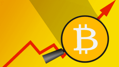 Verpackte Bitcoin (WBTC) Anstiege (4%).  Beginnt Bitcoin zurückzuprallen?