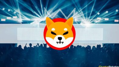 Warum ist Shiba Inu (SHIB) dieses Jahr um über 100.000.000% gestiegen: Ein genauerer Blick