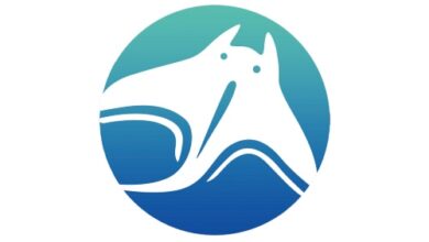 Manta Network sammelt 28,8 Millionen US-Dollar vom Squad Game Community Token Event