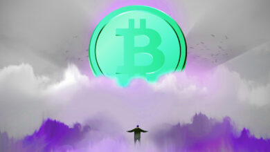 Bitcoin könnte schnell ausbrechen und Gold überholen, wenn Länder BTC in Reserven legen: Makroanalystin Lyn Alden