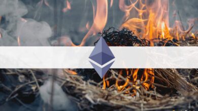Ethereum Hatte zum ersten Mal eine Nettodeflationäre Woche