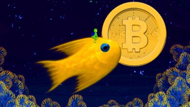 Größter Bitcoin-Wal in der Geschichte sammelt $411.000.000 in BTC an, während sich die Kryptomärkte konsolidieren