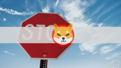 Shiba-Inu-Hype vorbei?  Google zeigt einen Rückgang des Interesses auf 1-Monats-Tief als Preisdumps