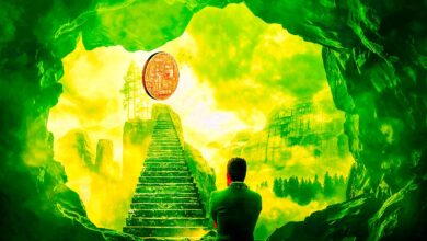 Hier sind sieben Gründe, warum sich der Crypto Bull Run bis weit ins Jahr 2022 hinein erstrecken wird, so Trader Lark Davis