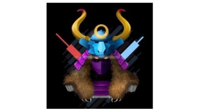 Ninja Fantasy Trader kündigt seinen ersten Vorverkauf der seltensten NFTrader oder Samurais an