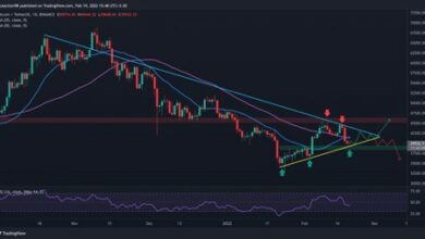 Bitcoin kämpft bei kritischer Unterstützung vor dem Wochenschluss: BTC-Preisanalyse