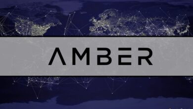 Kryptofirma Amber Group erzielt $200 Millionen Serie B+ Runde unter der Leitung von Temasek
