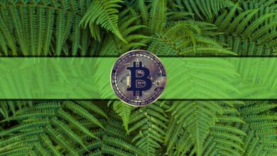 Bitcoin Fear and Greed Index zeigt Gier, während BTC in die Höhe schnellte