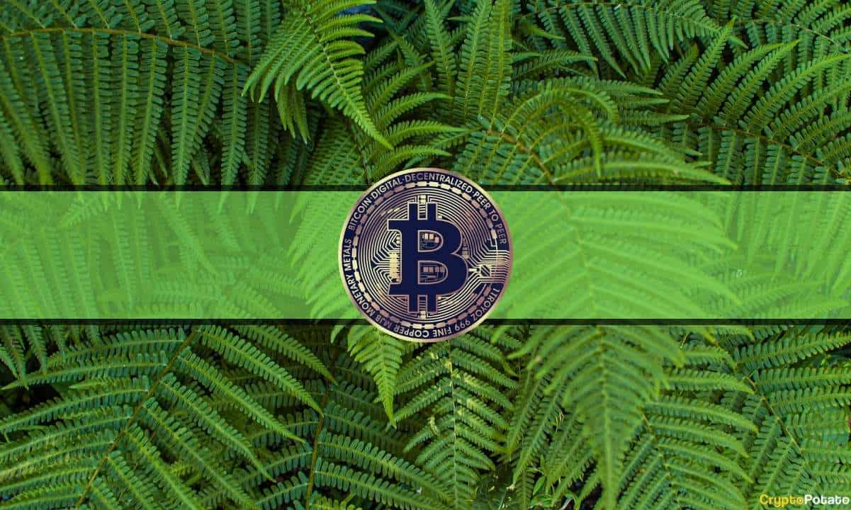 Bitcoin Fear and Greed Index zeigt Gier, während BTC in die Höhe schnellte