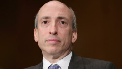 SEC-Vorsitzender von Senatoren zu überlastenden Krypto-Meldepflichten befragt