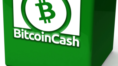 Bitcoin Cash (BCH) ist derzeit sehr volatil
