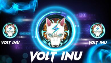 Volt Inu gibt aufregende Entwicklungen für sein Projekt bekannt