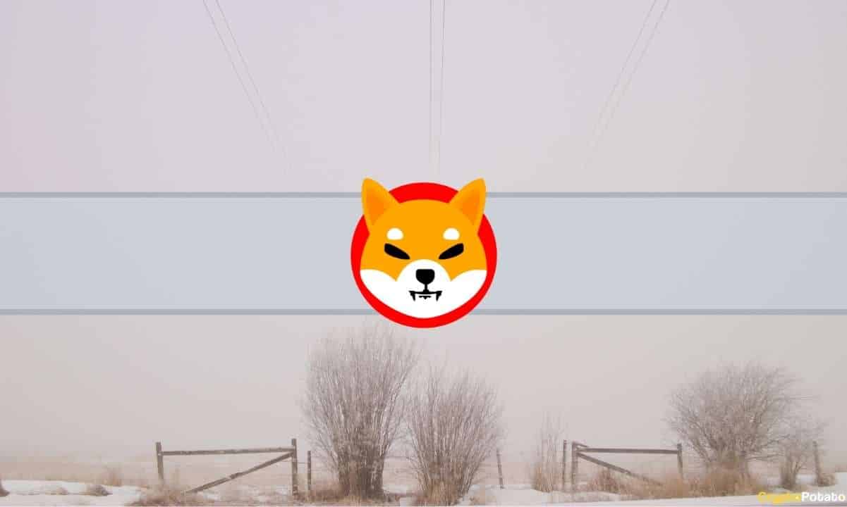 Der anonyme Schöpfer von Shiba Inu (SHIB) löscht alle Tweets und Blogs