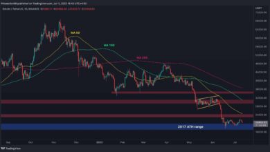 Bärische Zeichen für BTC Reapper, werden 20.000 $ oder mehr Schmerzen vor uns liegen?  (Bitcoin-Preisanalyse)