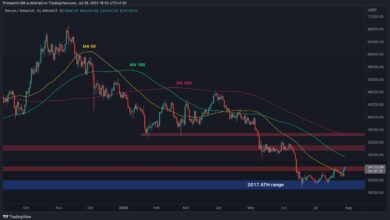 Bitcoin testet $24.000, aber wird die Rallye überhitzt?  (BTC-Preisanalyse)