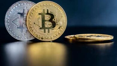 Institutionelle Investoren, die BTC shorten, machten 80 % der wöchentlichen Zuflüsse aus