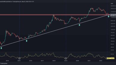 Bitcoin fällt auf historische Trendlinie, aber zinsbullische Zeichen blinken, Trendwende Inbound?  (BTC-Preisanalyse)