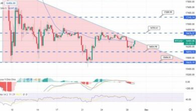 Bitcoin erholt sich über 16.000 $ – Quick Daily Outlook