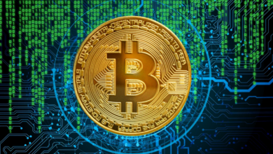 Bitcoin-Ordinalzahlen erreichen 10 Millionen Inschriften, da Casey Rodarmor zurücktritt