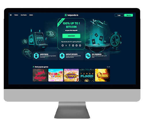 BetPanda Casino Review