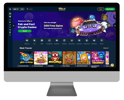 Winz.IO Casino 
