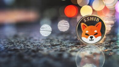 Die Preise für Shiba Inu und Bone übertreffen sich, da der Shiba-Memu-Token-Verkauf floriert