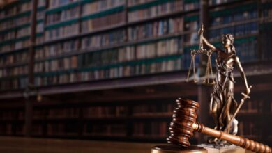 Law Professors Blast SEC’s Concept of Investment Contract in Amicus Brief