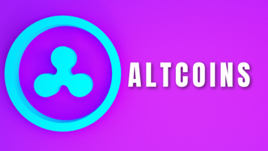 Die 3 besten Altcoins, die Sie diesen Oktober kaufen können