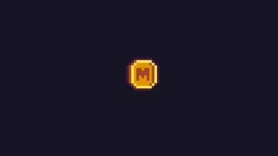 Meme coin MEME